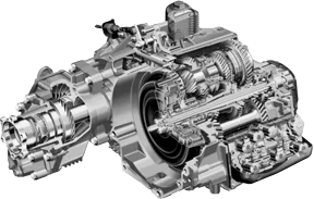 DSG-6